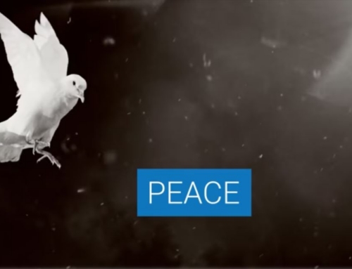 Happy New Year 2024!