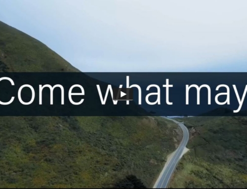 Happy New Year 2022!