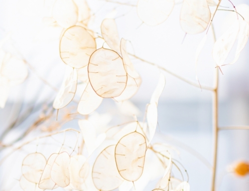 Easily Forgotten: The Basics